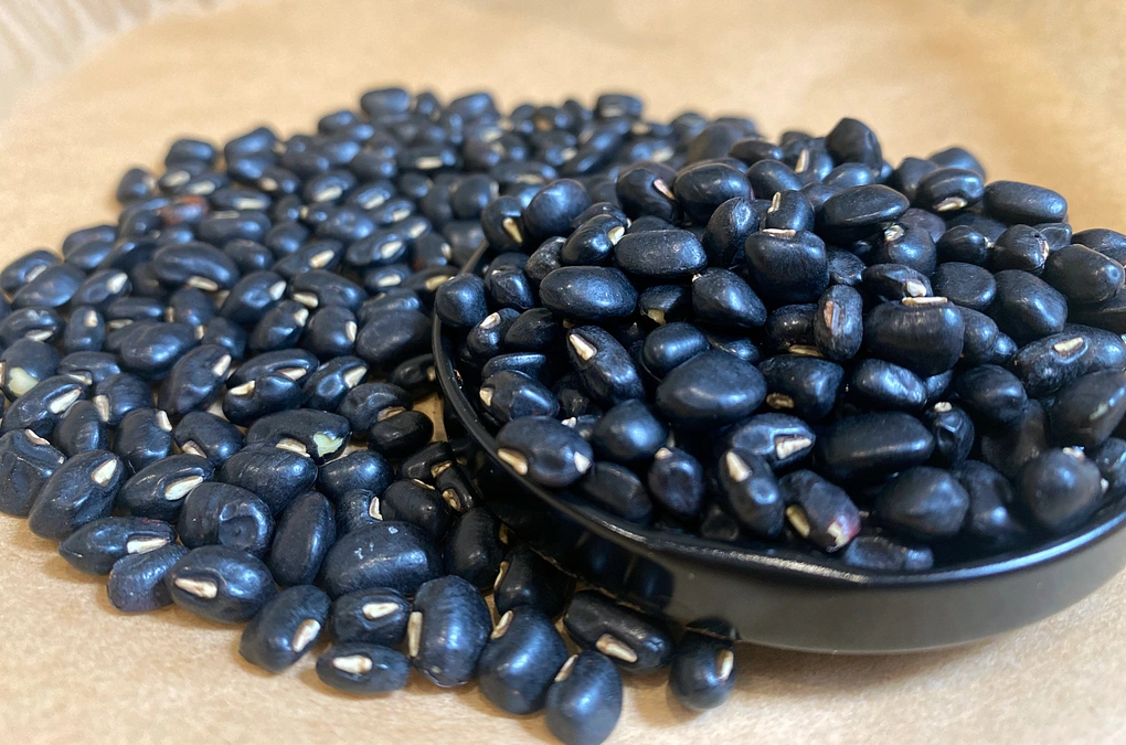 Đỗ đen có giảm cân không? Sự thật và cách sử dụng hiệu quả
